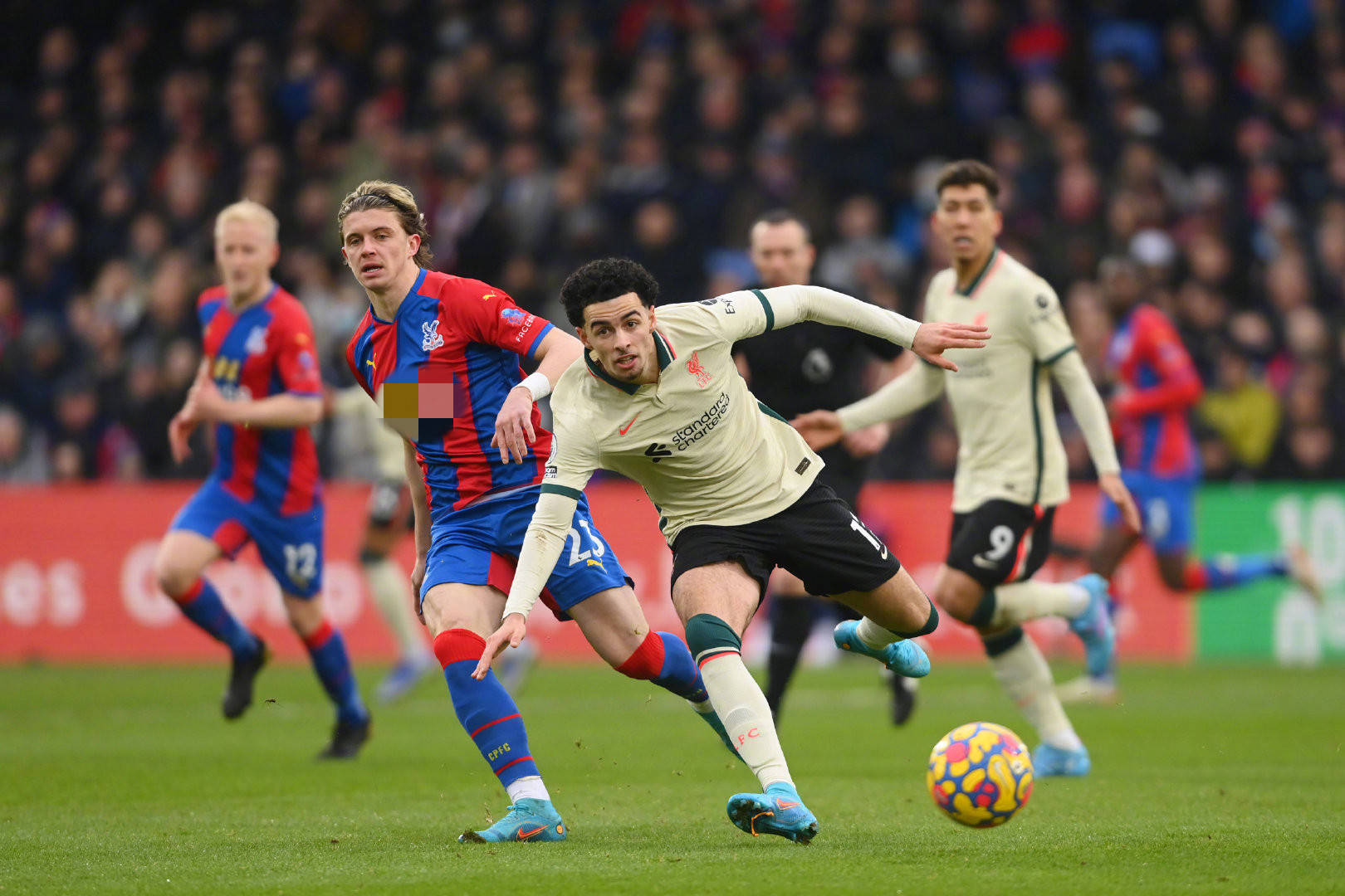 队命运的关 队命运的关